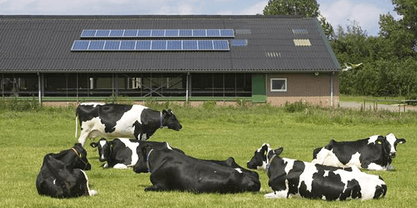 ¿Cuál es la forma de hacer productivo un terreno para criar ganado mediante el uso de paneles solares en Colombia?
